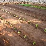 Llucmacanes Gran Alloggio per agriturismo