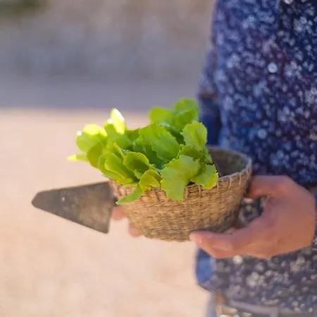 Llucmacanes Gran Farmház *