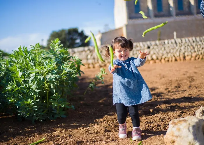 Llucmacanes Gran Farm stay *