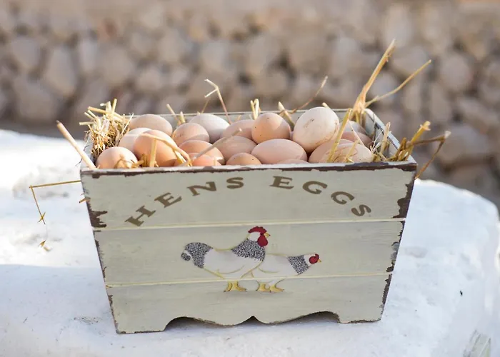 Llucmacanes Gran Farm stay