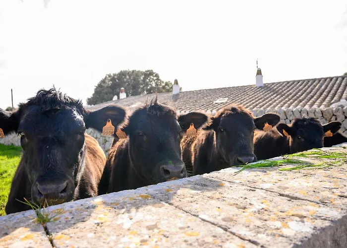 尤可马桑尼斯大农场酒店 *