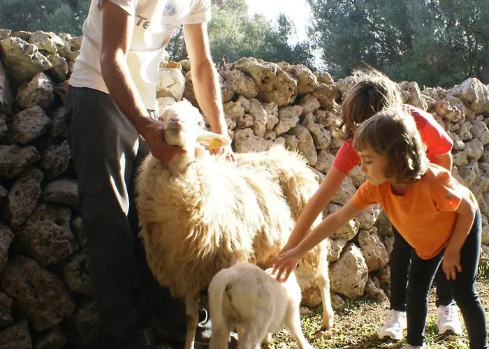 Llucmacanes Gran Mahon (Menorca)