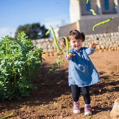 Llucmacanes Gran Farm stay *