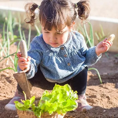 Farm stay Llucmacanes Gran *
