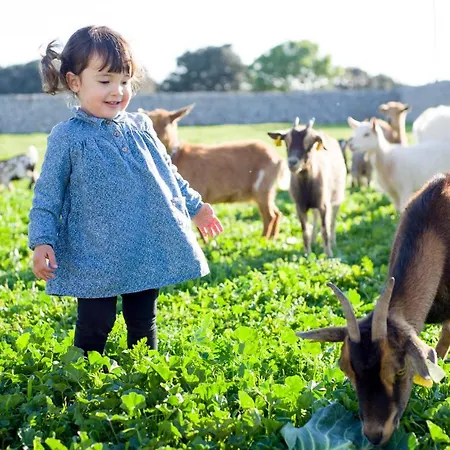 Llucmacanes Gran Mahon (Menorca)