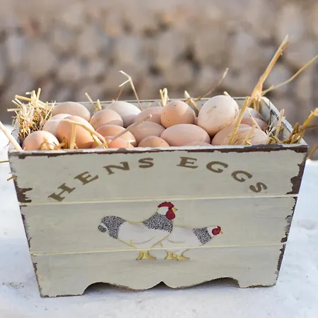 Llucmacanes Gran Farm stay