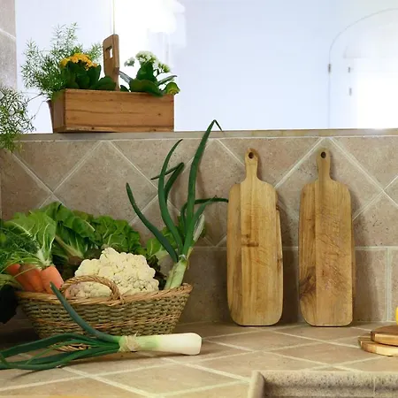 Llucmacanes Gran * Mahón