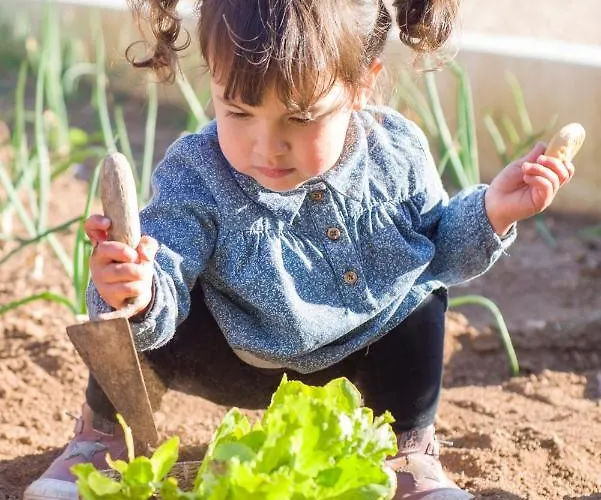 Farm stay Llucmacanes Gran *