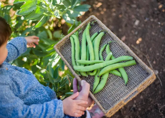Llucmacanes Gran Farm stay Mahon (Menorca)