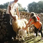 Llucmacanes Gran Mahon (Menorca)