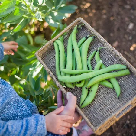Llucmacanes Gran Farm stay Mahon (Menorca)