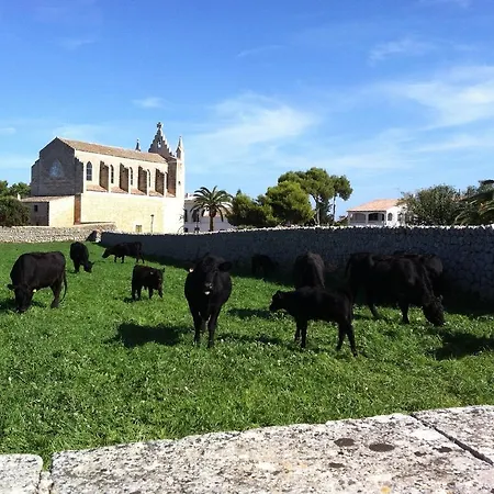 Farm stay Llucmacanes Gran *