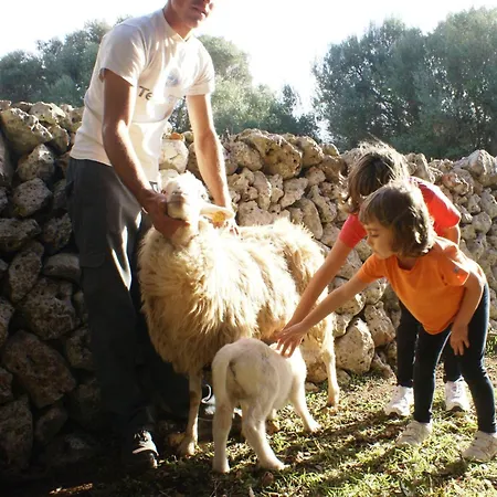 Llucmacanes Gran Mahon (Menorca)